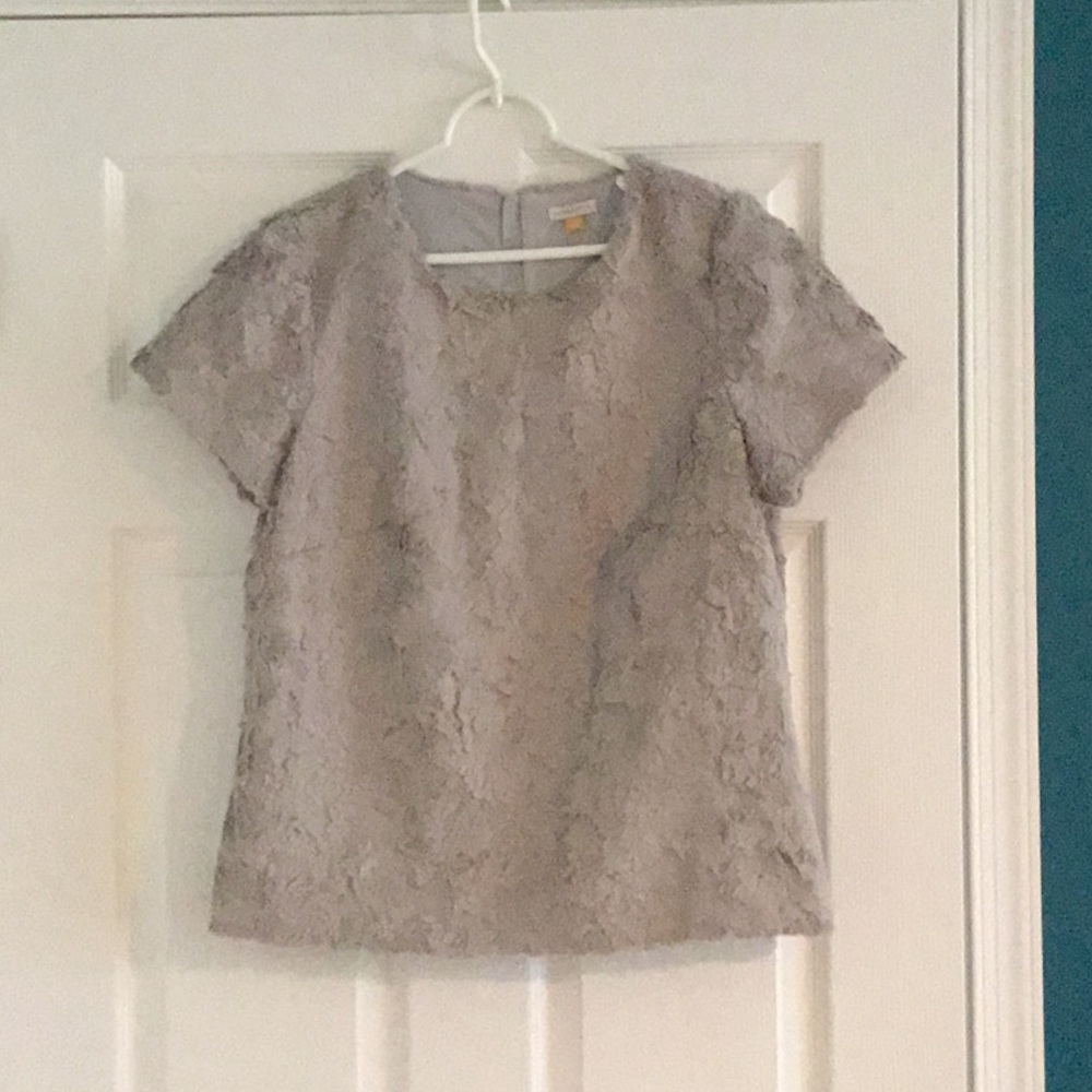 NWT Gray furry short sleeve top bought from Anthropologie